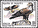 Dettagli