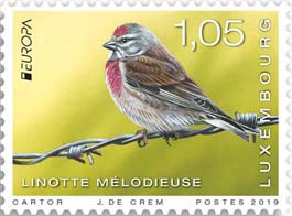 Emissione