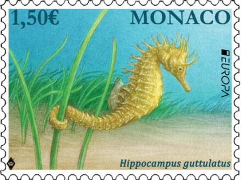 Immagine elemento