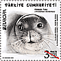 Dettagli