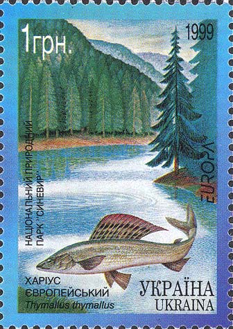 Immagine elemento