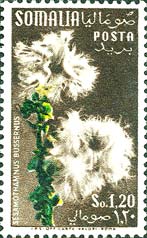 Emissione