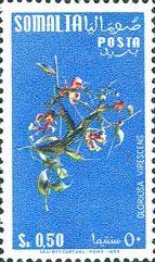 Emissione