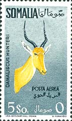 Emissione