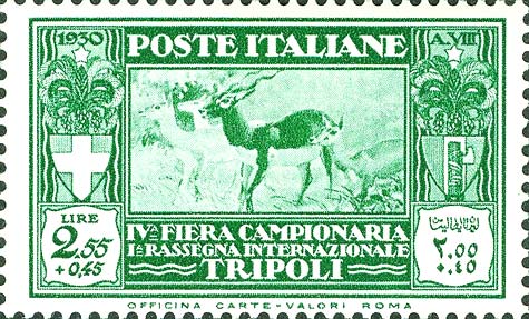 Immagine elemento