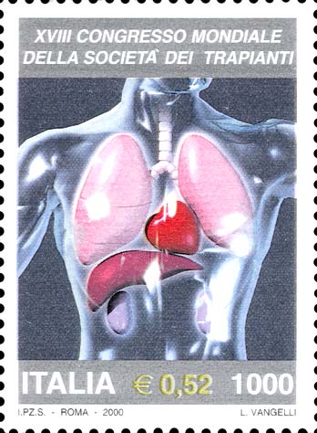 Immagine elemento