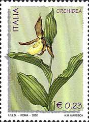 Emissione