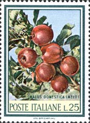 Emissione