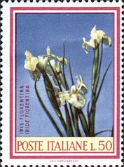 Emissione