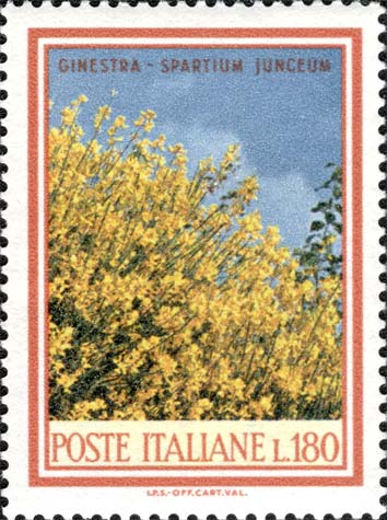 Immagine elemento