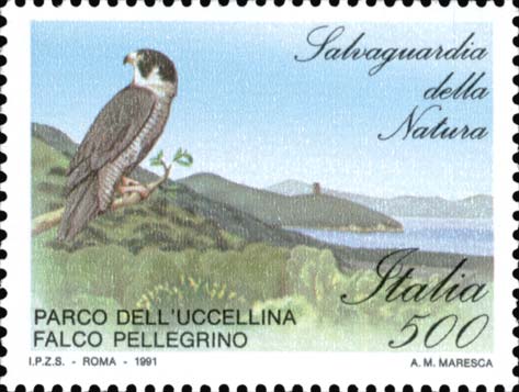 Immagine elemento