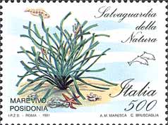 Emissione