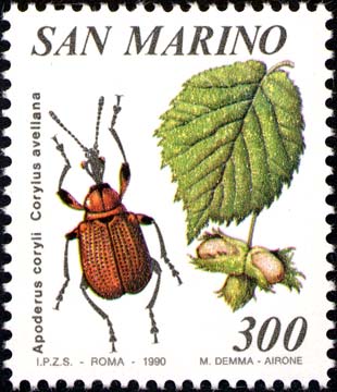 Immagine elemento