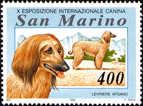 Immagine elemento