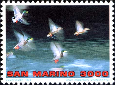 Immagine elemento
