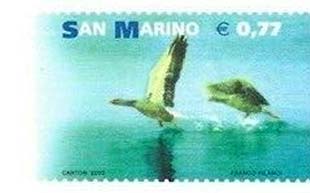 Immagine impronta