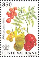Emissione