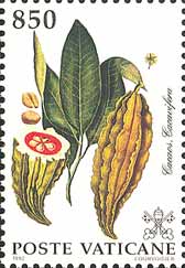 Emissione
