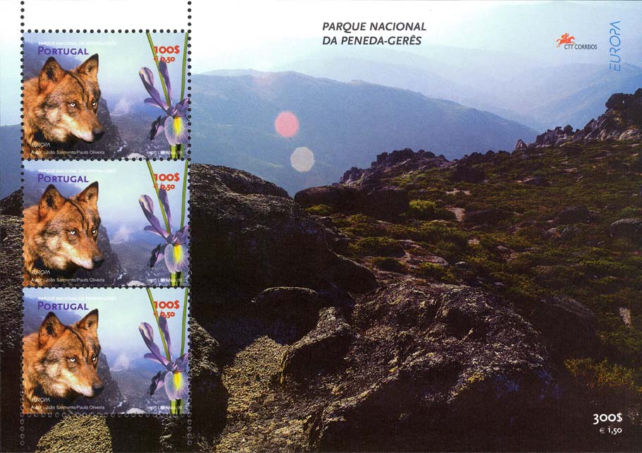 Altre Immagini