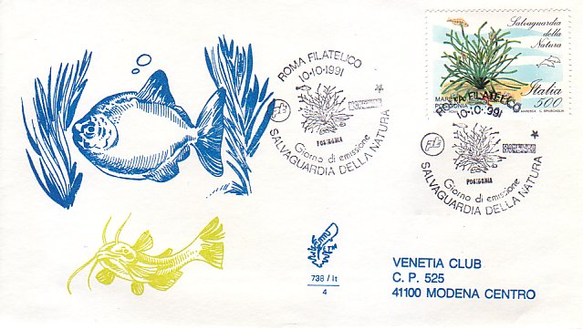 Fdc