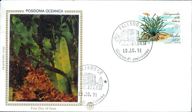 Fdc