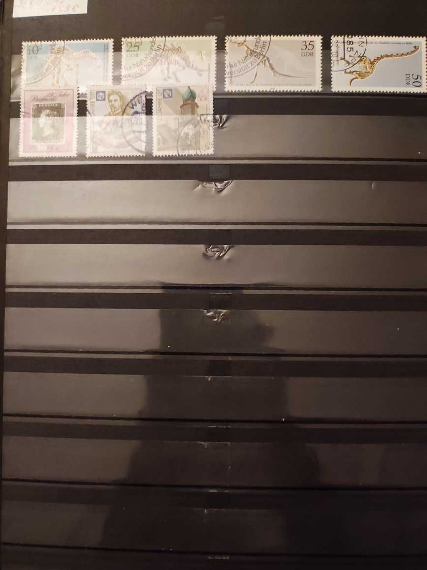 Articolo